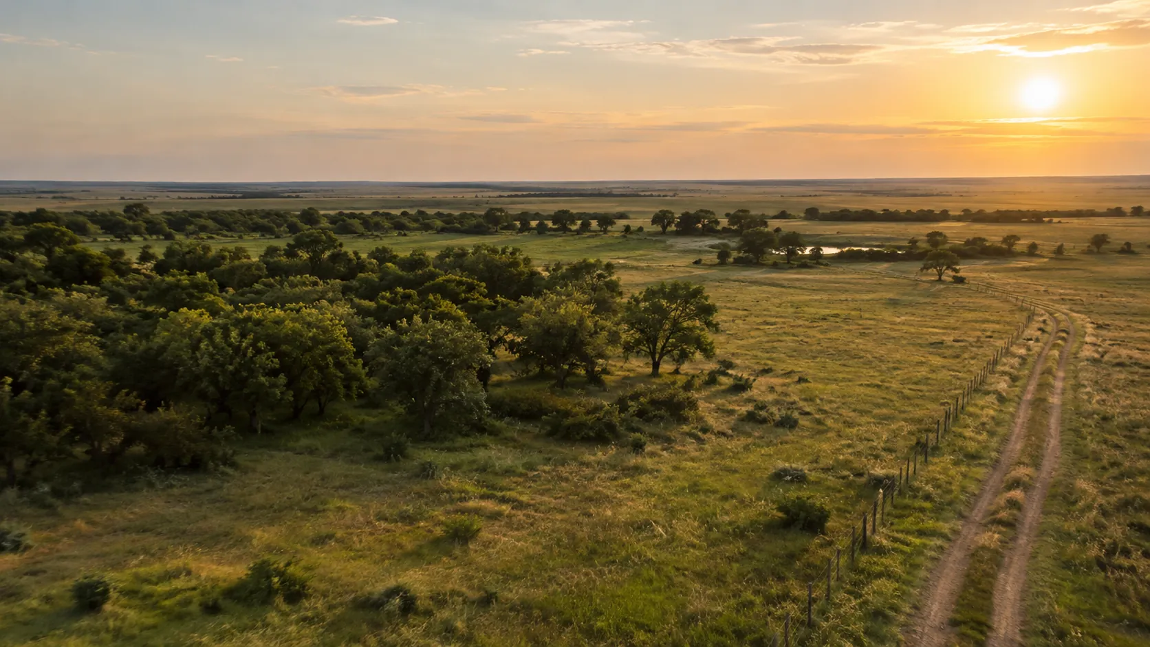 Illustrative rural landscape with meadow, trees, and a fence line